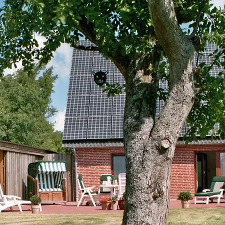 Kattenwarft Eg Bohl