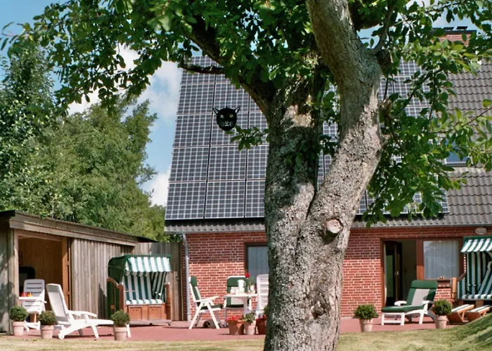 Kattenwarft Eg Böhl